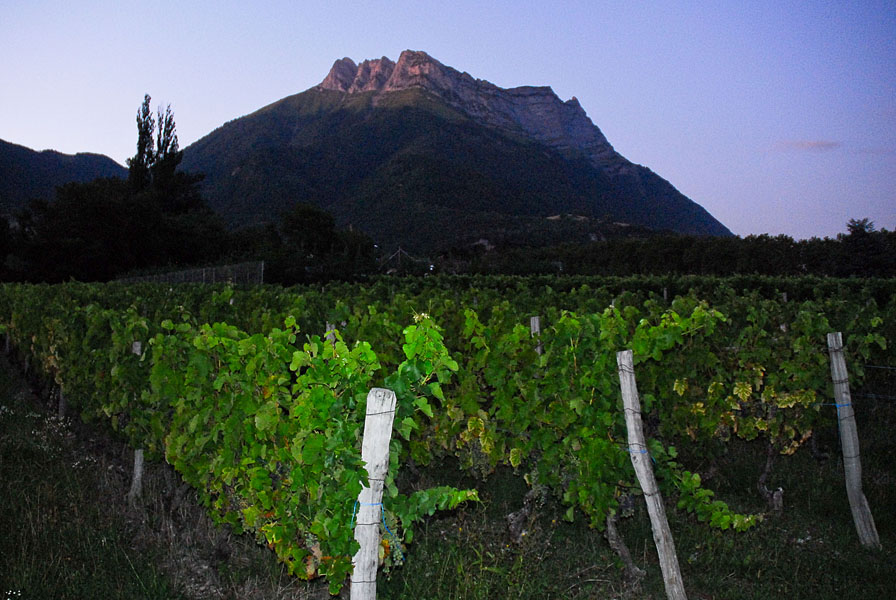 Paysage vigne et montagne près d'un hébergement en Coeur de Savoie