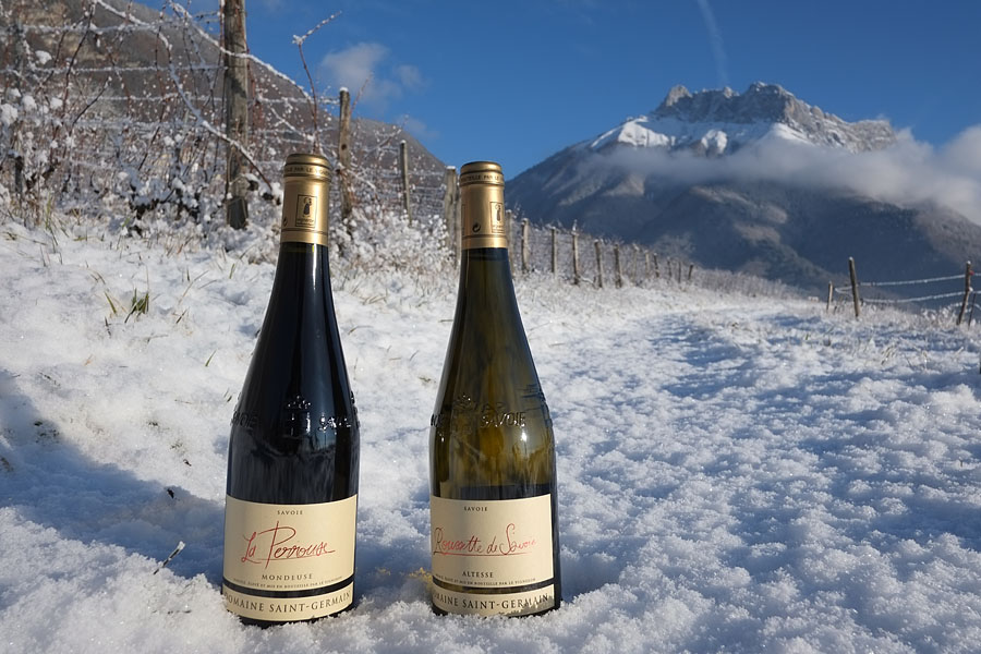 Le vignoble savoyard comme décor pour votre prochain séjour dans les Alpes en hébergement dans un gîte