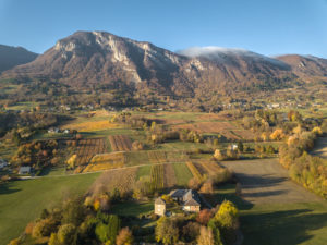 Gite du Porche la Pallud : vue aérienne du vignoble de Saint-Jean-de-la-porte, Combe de Savoie, Laurent Fabry photographe