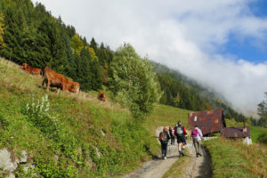 Pour vos randonnées pédestre en Savoie, trouvez votre hébergement dans les Alpes